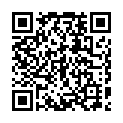 To view this 2013 Toyota Venza   from Reel's Auto Sales, please scan this QR code with your smartphone or tablet to view the mobile version of this page.