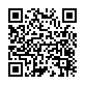 To view this 2017 Hyundai Santa Fe from Reel's Auto Sales, please scan this QR code with your smartphone or tablet to view the mobile version of this page.