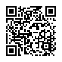 To view this 2019 Chevrolet Equinox from Reel's Auto Sales, please scan this QR code with your smartphone or tablet to view the mobile version of this page.
