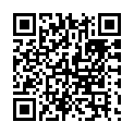 To view this 2015 Ford Transit Orwell OH from Reel's Auto Sales, please scan this QR code with your smartphone or tablet to view the mobile version of this page.