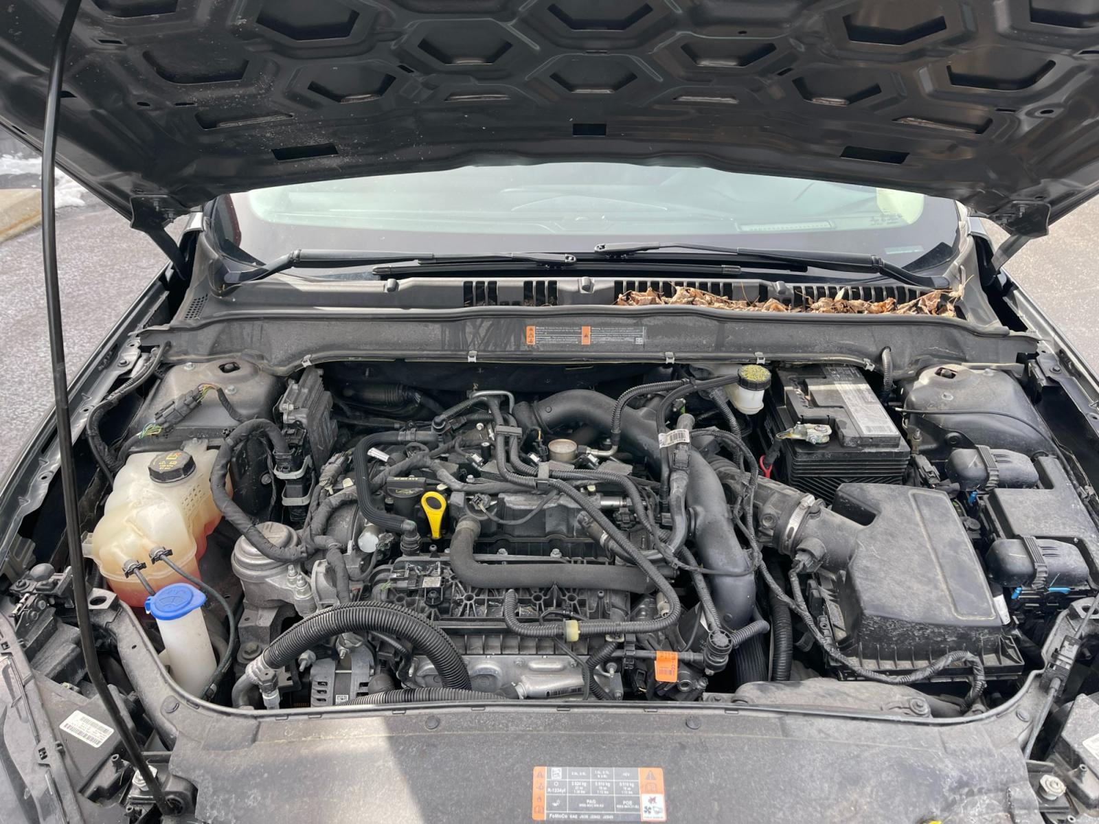 2019 Gray /Black Ford Fusion SEL (3FA6P0CD5KR) with an 1.5L I4 DOHC 16V TURBO engine, 6A transmission, located at 11115 Chardon Rd. , Chardon, OH, 44024, (440) 214-9705, 41.580246, -81.241943 - Photo #15