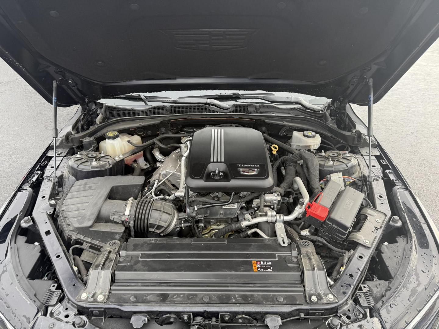 2020 Blue /Black Cadillac CT4 Luxury (1G6DE5RK2L0) with an 2.0L I4 DOHC 16V Turbo engine, 8A transmission, located at 11115 Chardon Rd. , Chardon, OH, 44024, (440) 214-9705, 41.580246, -81.241943 - Photo#3