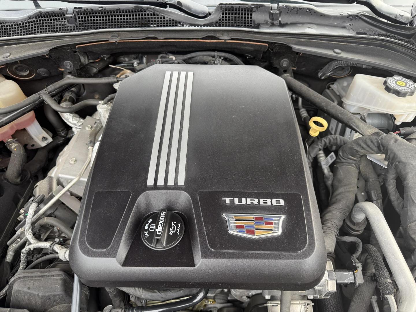 2020 Blue /Black Cadillac CT4 Luxury (1G6DE5RK2L0) with an 2.0L I4 DOHC 16V Turbo engine, 8A transmission, located at 11115 Chardon Rd. , Chardon, OH, 44024, (440) 214-9705, 41.580246, -81.241943 - Photo#4