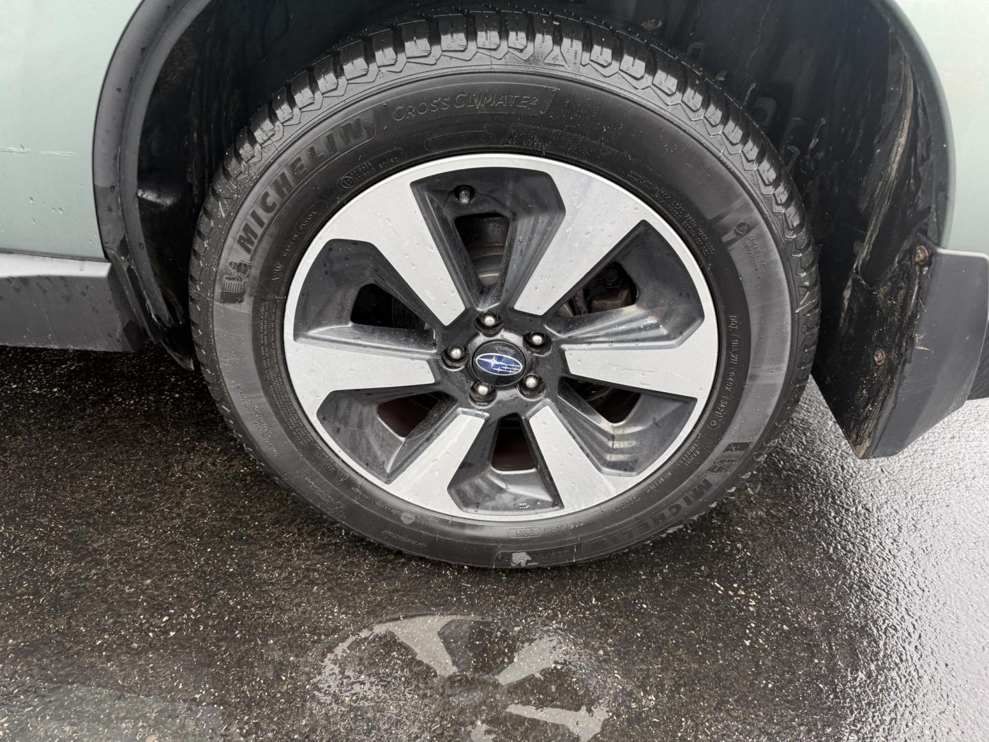 2017 Green /Gray Subaru Forester 2.5i Premium PZEV CVT (JF2SJAEC3HH) with an 2.5L H4 DOHC 16V engine, Automatic transmission, located at 547 E. Main St., Orwell, OH, 44076, (440) 437-5893, 41.535435, -80.847855 - Photo#4