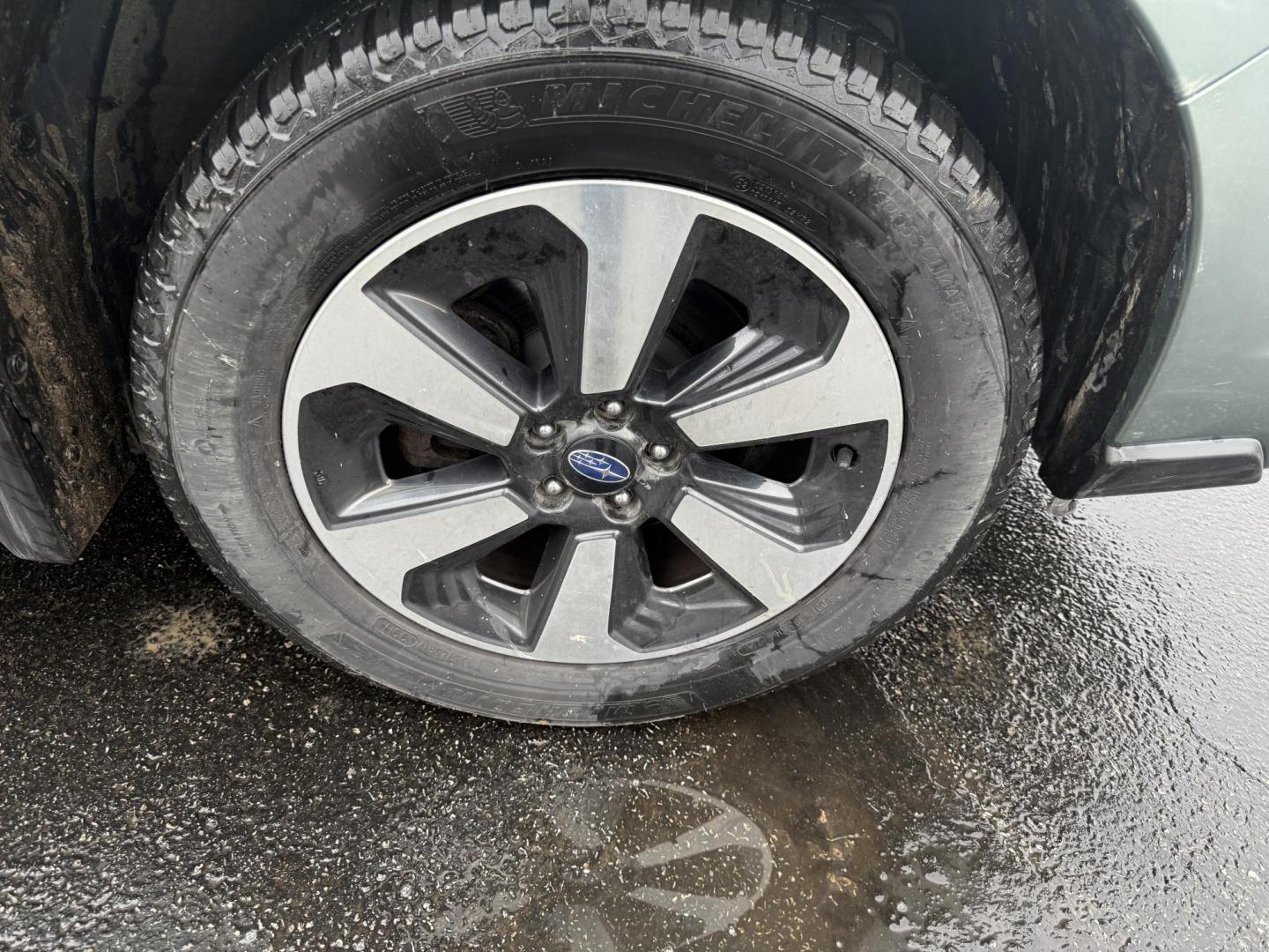 2017 Green /Gray Subaru Forester 2.5i Premium PZEV CVT (JF2SJAEC3HH) with an 2.5L H4 DOHC 16V engine, Automatic transmission, located at 547 E. Main St., Orwell, OH, 44076, (440) 437-5893, 41.535435, -80.847855 - Photo#2