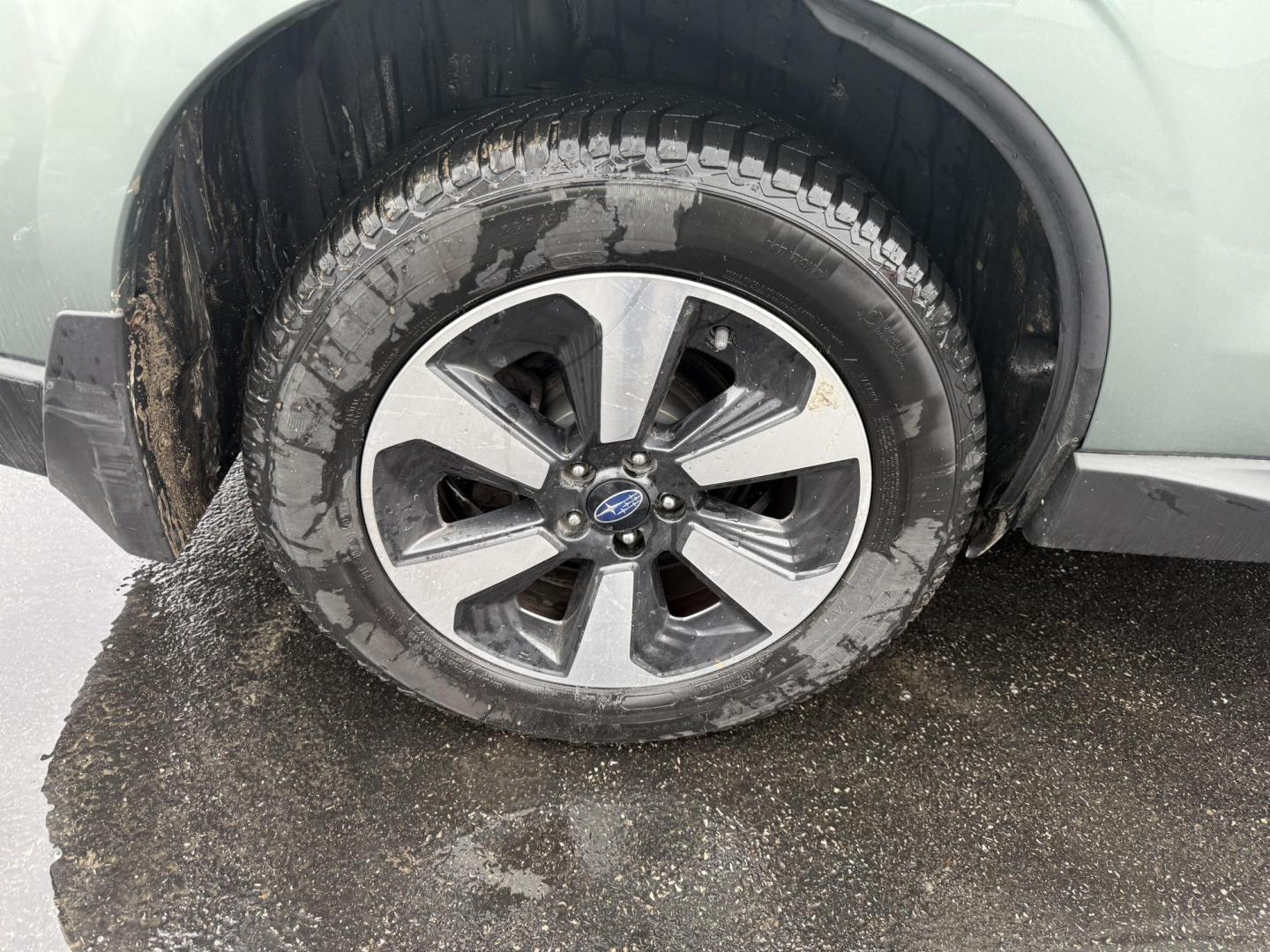 2017 Green /Gray Subaru Forester 2.5i Premium PZEV CVT (JF2SJAEC3HH) with an 2.5L H4 DOHC 16V engine, Automatic transmission, located at 547 E. Main St., Orwell, OH, 44076, (440) 437-5893, 41.535435, -80.847855 - Photo#3