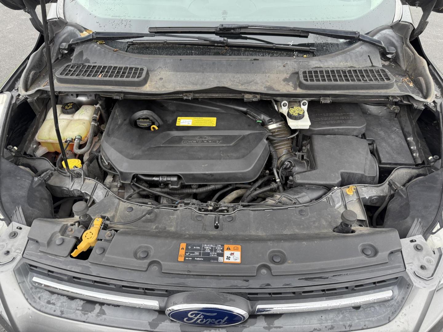 2014 Gray /Black Ford Escape SE 4WD (1FMCU9GX8EU) with an 1.6L I4 DOHC 16V TURBO engine, 6-Speed Automatic transmission, located at 11115 Chardon Rd. , Chardon, OH, 44024, (440) 214-9705, 41.580246, -81.241943 - Photo#3