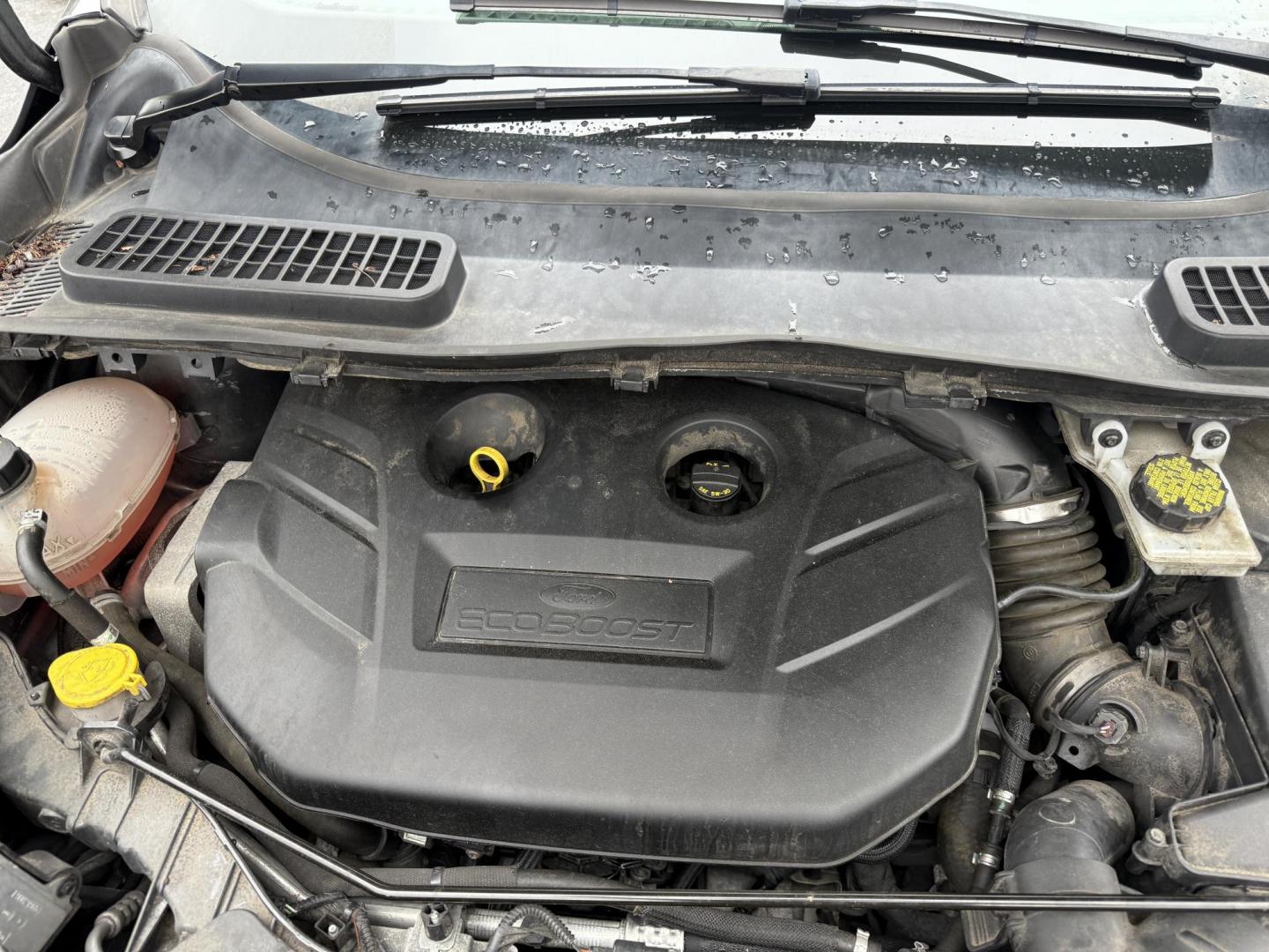 2019 Black /Black Ford Escape Titanium 4WD (1FMCU9J95KU) with an 2.0L I4 DOHC 16V TURBO engine, 6 Speed Auto transmission, located at 547 E. Main St., Orwell, OH, 44076, (440) 437-5893, 41.535435, -80.847855 - Photo#7