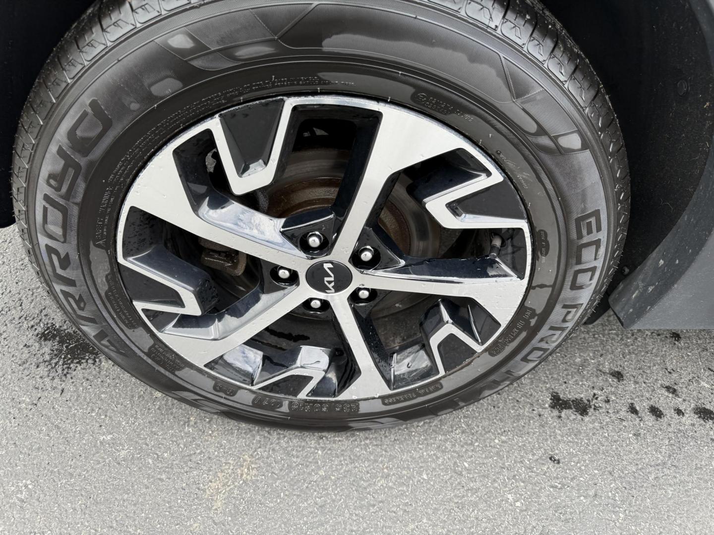 2023 Silver /Black Kia Sportage EX AWD (5XYK3CAF7PG) with an 2.5L I4 DOHC 16V engine, 8-Speed Automatic transmission, located at 547 E. Main St., Orwell, OH, 44076, (440) 437-5893, 41.535435, -80.847855 - Photo#6