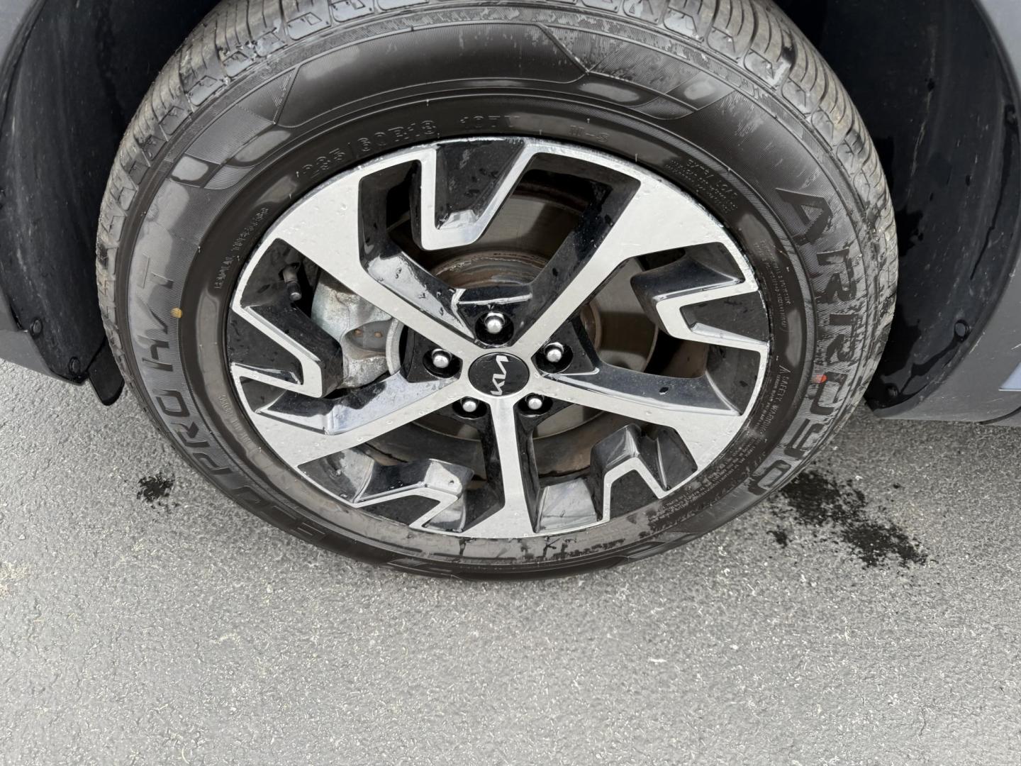 2023 Silver /Black Kia Sportage EX AWD (5XYK3CAF7PG) with an 2.5L I4 DOHC 16V engine, 8-Speed Automatic transmission, located at 547 E. Main St., Orwell, OH, 44076, (440) 437-5893, 41.535435, -80.847855 - Photo#13