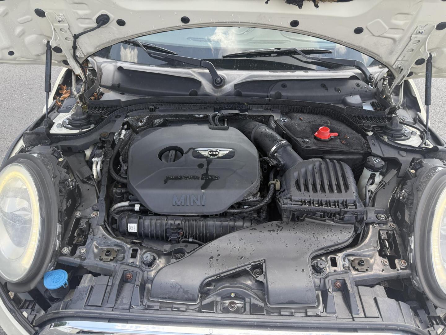 2015 White /Black Mini Cooper S (WMWXP7C56FT) with an 2.0L I4 DOHC 16V TURBO engine, 6 Speed Auto transmission, located at 547 E. Main St., Orwell, OH, 44076, (440) 437-5893, 41.535435, -80.847855 - This 2015 Mini Cooper S is a well-equipped, sporty hatchback featuring a 2.0L turbocharged inline-4 engine paired with a 6-speed automatic transmission. It boasts a premium leather interior, an 8.0" touchscreen with navigation, backup camera and sensors, a heads-up display, and heated front seats. A - Photo#13