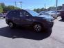 2019 Gray /Black Subaru Forester Premium (JF2SKAEC0KH) with an 2.5L H4 DOHC 16V engine, Automatic transmission, located at 547 E. Main St., Orwell, OH, 44076, (440) 437-5893, 41.535435, -80.847855 - Photo#3