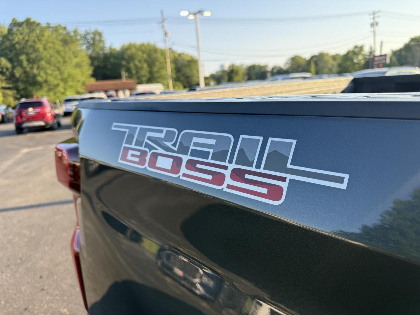 2019 Gray /Black Chevrolet Silverado 1500 LT Trail Boss Crew Cab Short Box 4WD (1GCPYFED6KZ) with an 5.3L V8 OHV 16V engine, 8-Speed Automatic transmission, located at 547 E. Main St., Orwell, OH, 44076, (440) 437-5893, 41.535435, -80.847855 - Photo#7
