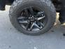 2019 Gray /Black Chevrolet Silverado 1500 LT Trail Boss Crew Cab Short Box 4WD (1GCPYFED6KZ) with an 5.3L V8 OHV 16V engine, 8-Speed Automatic transmission, located at 547 E. Main St., Orwell, OH, 44076, (440) 437-5893, 41.535435, -80.847855 - Photo#6