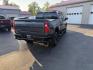 2019 Gray /Black Chevrolet Silverado 1500 LT Trail Boss Crew Cab Short Box 4WD (1GCPYFED6KZ) with an 5.3L V8 OHV 16V engine, 8-Speed Automatic transmission, located at 547 E. Main St., Orwell, OH, 44076, (440) 437-5893, 41.535435, -80.847855 - Photo#8