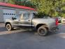 2019 Gray /Black Chevrolet Silverado 1500 LT Trail Boss Crew Cab Short Box 4WD (1GCPYFED6KZ) with an 5.3L V8 OHV 16V engine, 8-Speed Automatic transmission, located at 547 E. Main St., Orwell, OH, 44076, (440) 437-5893, 41.535435, -80.847855 - Photo#13