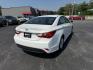 2014 White /Brown Hyundai Sonata GLS (5NPEB4AC8EH) with an 2.4L I4 DOHC 16V engine, 6-Speed Automatic transmission, located at 547 E. Main St., Orwell, OH, 44076, (440) 437-5893, 41.535435, -80.847855 - This One Owner 2014 Hyundai Sonata GLS with a leather interior combines comfort and style with its premium seating, complementing the vehicle's features like the 2.4L I4 GDI engine, 6-speed automatic transmission, active ECO mode, power driver’s seat, heated front seats, a 4.3-inch touchscreen, an - Photo#7