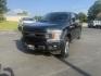 2020 Black /Black Ford F-150 XLT SuperCrew 5.5-ft. Bed 4WD (1FTEW1E43LF) with an 3.5L V6 TWIN TURBO engine, 10 Speed Auto transmission, located at 547 E. Main St., Orwell, OH, 44076, (440) 437-5893, 41.535435, -80.847855 - This 2020 Ford F-150 XLT Crew Cab 4WD with the 3.5L twin-turbo EcoBoost V6 engine and 10-speed automatic transmission offers impressive capability and technology, including a 10,500-pound towing capacity, 375 horsepower, and 470 lb-ft of torque, with selectable driving modes and a locking rear diffe - Photo#0