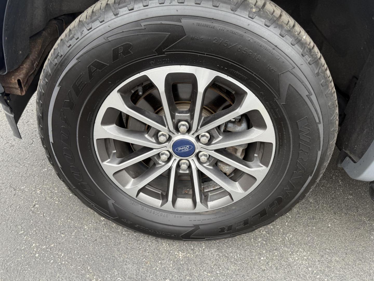 2019 Gray /Black Ford F-150 XLT SuperCrew 5.5-ft. Bed 4WD (1FTEW1EP8KF) with an 2.7L V6 DOHC 24V TWIN TURBO engine, 10 Speed Automatic Transmission transmission, located at 547 E. Main St., Orwell, OH, 44076, (440) 437-5893, 41.535435, -80.847855 - This 2019 Ford F-150 XLT Crew Cab with the 2.7L Twin Turbo EcoBoost V6 and 10-speed automatic transmission offers a strong blend of power and efficiency, delivering 24 MPG on the highway and a towing capacity of 7,600 lbs—ideal for both daily driving and moderate hauling needs. Equipped with 3.55 - Photo#14