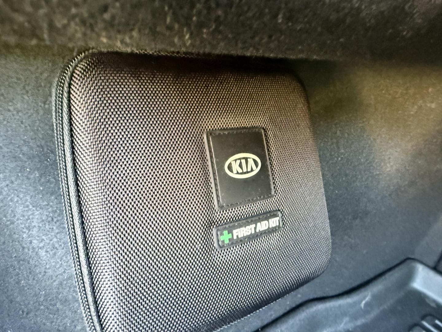 2015 Black /Black Kia Cadenza Premium (KNALN4D72F5) with an 3.3L V6 DOHC 24V engine, 6-Speed Automatic transmission, located at 11115 Chardon Rd. , Chardon, OH, 44024, (440) 214-9705, 41.580246, -81.241943 - This 2015 Kia Cadenza Premium offers a refined driving experience with its 3.3L V6 engine and 6-speed automatic transmission, achieving up to 28 MPG on the highway. Its upscale interior features Nappa leather, heated and cooled power front seats, heated rear seats, dual-zone automatic climate contro - Photo#42
