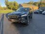 2016 Black /Black Jeep Cherokee Trailhawk 4WD (1C4PJMBS1GW) with an 3.2L V6 DOHC 24V engine, 9A transmission, located at 11115 Chardon Rd. , Chardon, OH, 44024, (440) 214-9705, 41.580246, -81.241943 - This 2016 Jeep Cherokee Trailhawk 4WD is powered by a robust 3.2L V6 engine paired with a 9-speed automatic transmission, delivering strong off-road capability with features like Jeep Active Drive Lock and a locking rear differential. Inside, it offers a leather interior, heated front seats, power d - Photo#0
