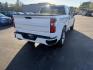 2019 White /Black Chevrolet Silverado 1500 Custom Crew Cab Short Box 4WD (1GCUYBEF9KZ) with an 5.3L V8 OHV 16V engine, 6A transmission, located at 11115 Chardon Rd. , Chardon, OH, 44024, (440) 214-9705, 41.580246, -81.241943 - This 2019 Chevrolet Silverado 1500 Custom Crew Cab is a capable full-size pickup powered by a 5.3L EcoTec3 V8 engine paired with a 6-speed automatic transmission and 3.42 rear gearing, delivering strong performance and a 9,500-pound towing capacity. It features on-demand 4WD, a G80 locking rear diff - Photo#7
