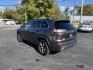 2019 Gray /Black Jeep Cherokee Limited 4WD (1C4PJMDX9KD) with an 3.2L V6 DOHC 24V engine, 9A transmission, located at 11115 Chardon Rd. , Chardon, OH, 44024, (440) 214-9705, 41.580246, -81.241943 - Experience refined capability with this 2019 Jeep Cherokee Limited 4WD. Powered by a robust 3.2L V6 engine and smooth 9-speed automatic transmission, this SUV delivers confident performance and up to 27 MPG on the highway. The upscale leather interior features heated front seats, dual-zone automatic - Photo#10