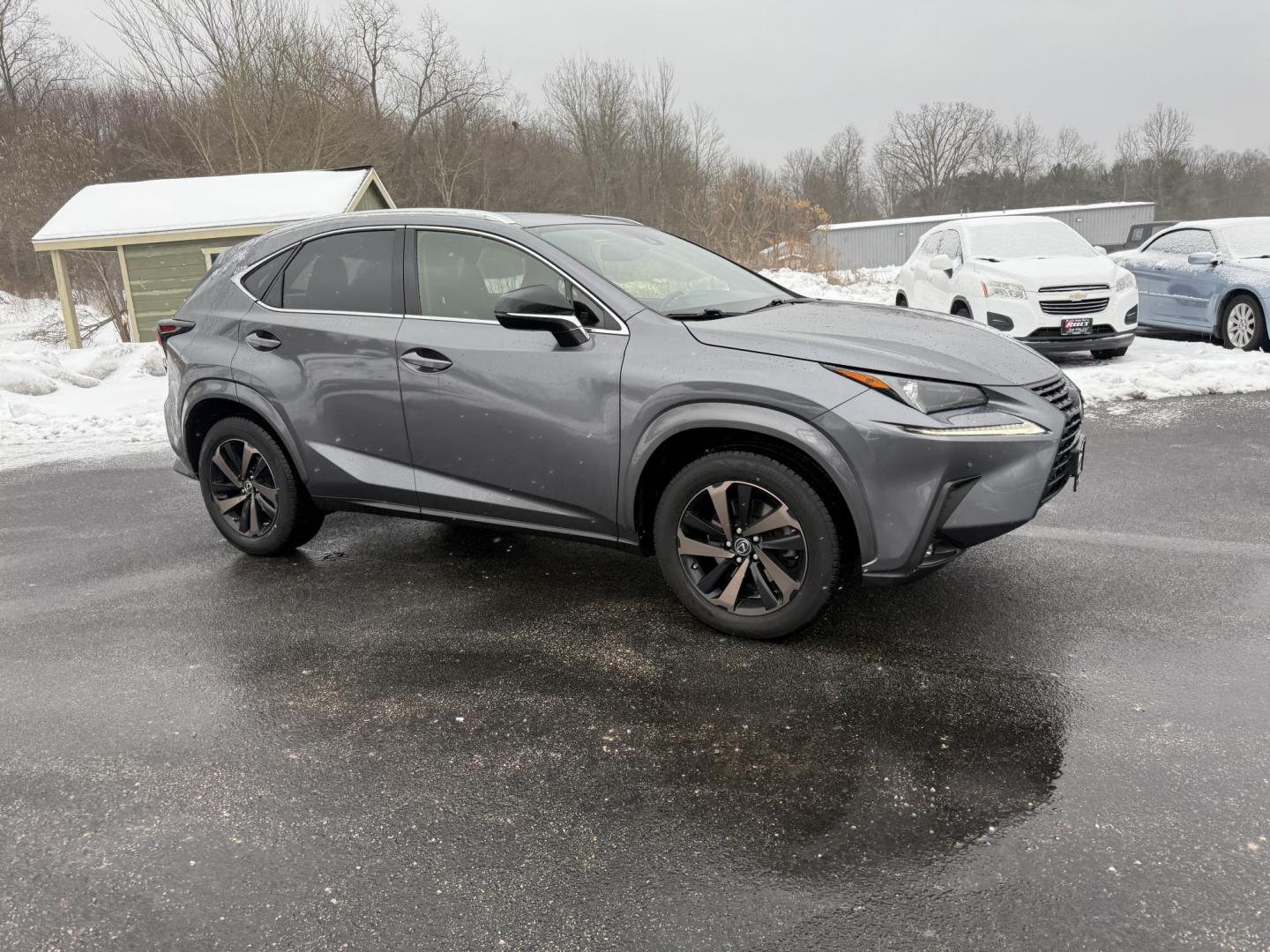2020 Gray /Black Lexus NX 300 Premium AWD (JTJGARDZ8L2) with an 2.0L I4 DOHC 16V Turbo engine, Automatic transmission, located at 11115 Chardon Rd. , Chardon, OH, 44024, (440) 214-9705, 41.580246, -81.241943 - 2020 Lexus NX 300 AWD – Sophisticated Luxury, Advanced Safety, and Turbocharged Performance Experience refined luxury and dynamic performance with this 2020 Lexus NX 300 AWD. Powered by a 2.0L turbocharged I4 engine and a smooth 6-speed automatic transmission, this SUV delivers impressive power - Photo#3