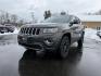 2014 Gray /Black Jeep Grand Cherokee Limited 4WD (1C4RJFBG0EC) with an 3.6L V6 DOHC 24V FFV engine, Automatic transmission, located at 11115 Chardon Rd. , Chardon, OH, 44024, (440) 214-9705, 41.580246, -81.241943 - Photo#0