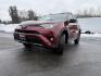 2018 Red /Black Toyota RAV4 Adventure AWD (2T3RFREV8JW) with an 2.5L I4 DOHC 16V engine, Automatic transmission, located at 11115 Chardon Rd. , Chardon, OH, 44024, (440) 214-9705, 41.580246, -81.241943 - One Owner ---- 2018 Toyota RAV4 Adventure AWD – Rugged Versatility, Advanced Safety, and Everyday Comfort Get ready for your next adventure with this 2018 Toyota RAV4 Adventure AWD. Powered by a reliable 2.5L I4 engine and a smooth 6-speed automatic transmission, this SUV delivers impressive ef - Photo#0