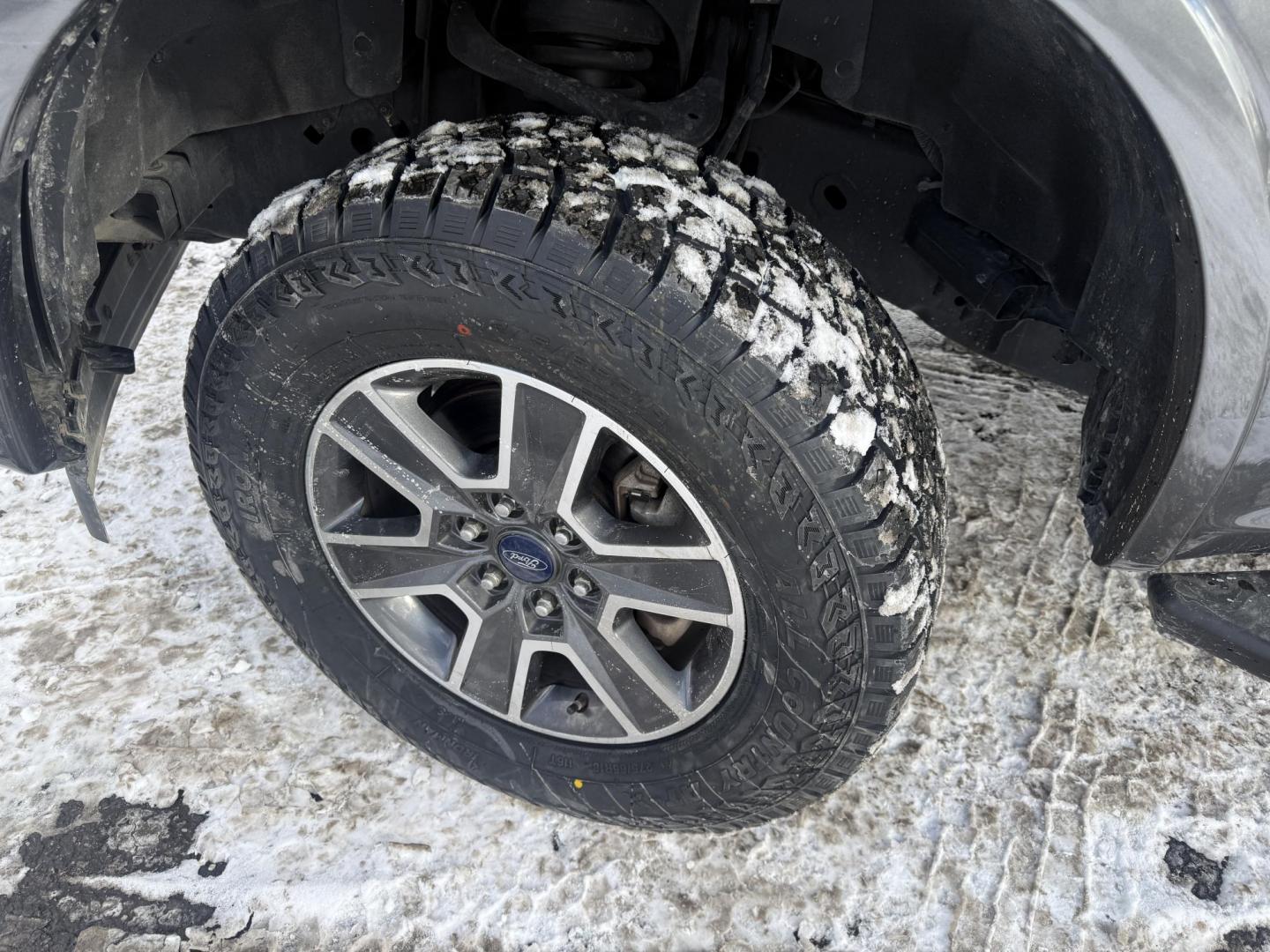 2017 Gray /Black Ford F-150 XLT SuperCrew 5.5-ft. Bed 4WD (1FTEW1EG1HF) with an 3.5L V6 Twin TURBO engine, Automatic transmission, located at 547 E. Main St., Orwell, OH, 44076, (440) 437-5893, 41.535435, -80.847855 - 2017 Ford F-150 XLT Crew Cab 4WD – Power, Capability, and Advanced Technology for Work and Play Conquer any job or adventure with this rugged 2017 Ford F-150 XLT Crew Cab 4WD. Equipped with a powerful 3.5L Twin Turbo EcoBoost V6 engine and a 10-speed automatic transmission, this truck delivers - Photo#31