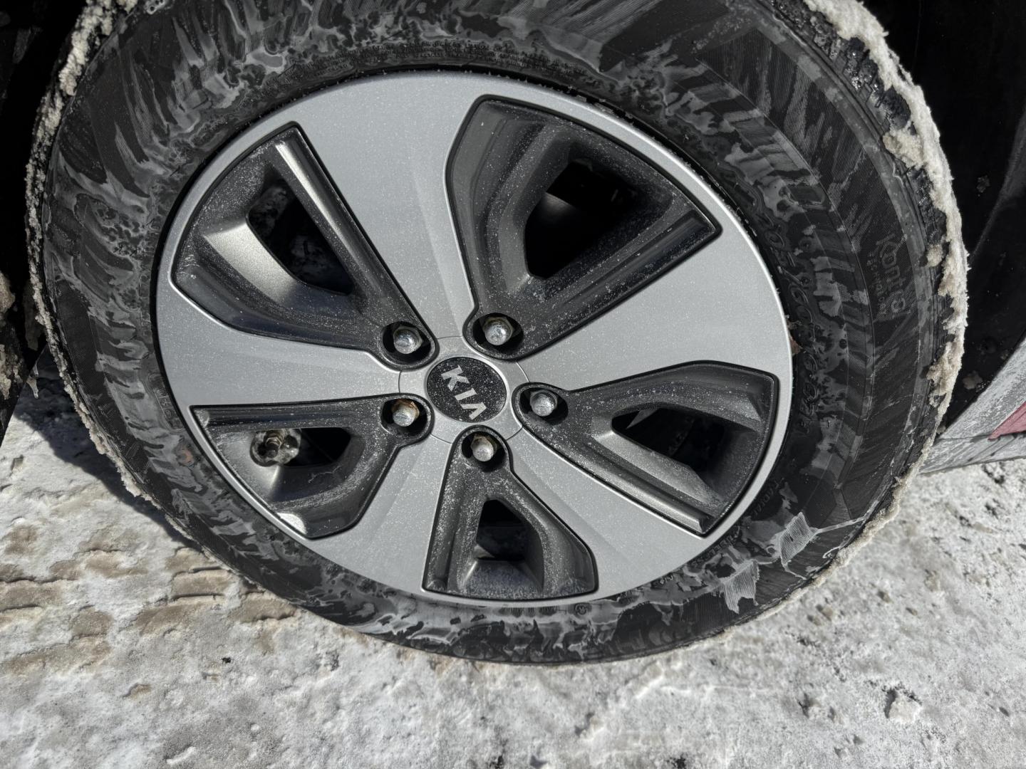 2018 Red /Black Kia Niro LX (KNDCB3LC3J5) with an 1.6L I4 DOHC 16V HYBRID engine, Automatic transmission, located at 11115 Chardon Rd. , Chardon, OH, 44024, (440) 214-9705, 41.580246, -81.241943 - 2018 Kia Niro LX – Hybrid Efficiency, Modern Comfort, and Advanced Technology Save on every drive with this 2018 Kia Niro LX, a hybrid that blends impressive fuel economy with everyday practicality. Powered by a 1.6L I4 engine paired with a 43 HP electric motor and a responsive 6-speed dual-clu - Photo#26