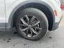 2022 White /Black Volkswagen Tiguan SE 4Motion (3VV2B7AX6NM) with an 2.0L I4 DOHC 16V Turbo engine, Automatic transmission, located at 11115 Chardon Rd. , Chardon, OH, 44024, (440) 214-9705, 41.580246, -81.241943 - 2022 Volkswagen Tiguan SE AWD – Premium Comfort, All-Weather Confidence, and Loaded with Advanced Safety & Tech! This 2022 Volkswagen Tiguan SE AWD is the perfect upscale crossover that’s ready for family adventures, daily commutes, or weekend getaways! Powered by a responsive 2.0L Turbocharged - Photo#4