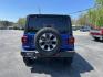 2018 Jeep Wrangler Unlimited Sahara (1C4HJXEN8JW) with an 2.0L L4 DOHC 16V TURBO engine, 6A transmission, located at 547 E. Main St., Orwell, OH, 44076, (440) 437-5893, 41.535435, -80.847855 - Photo#8
