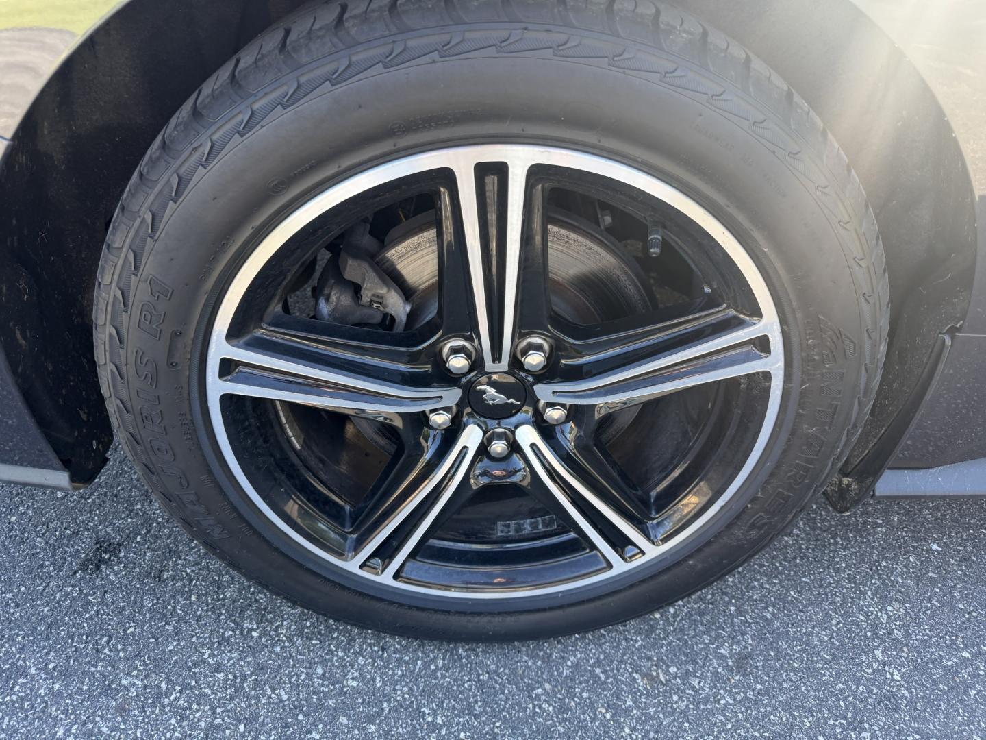 2024 Gray /Black Ford Mustang EcoBoost Premium Convertible (1FAGP8UH6R5) with an 2.3L I4 DOHC 16V Turbo 310 HP engine, Automatic transmission, located at 11115 Chardon Rd. , Chardon, OH, 44024, (440) 214-9705, 41.580246, -81.241943 - 2024 Ford Mustang Convertible Premium – Turbocharged Power, Open-Air Thrills, and Premium Luxury! This 2024 Ford Mustang Convertible Premium delivers the perfect mix of exhilarating performance and refined comfort in a stunning drop-top package. Powered by a responsive 2.3L I4 Turbocharged EcoBoo - Photo#24