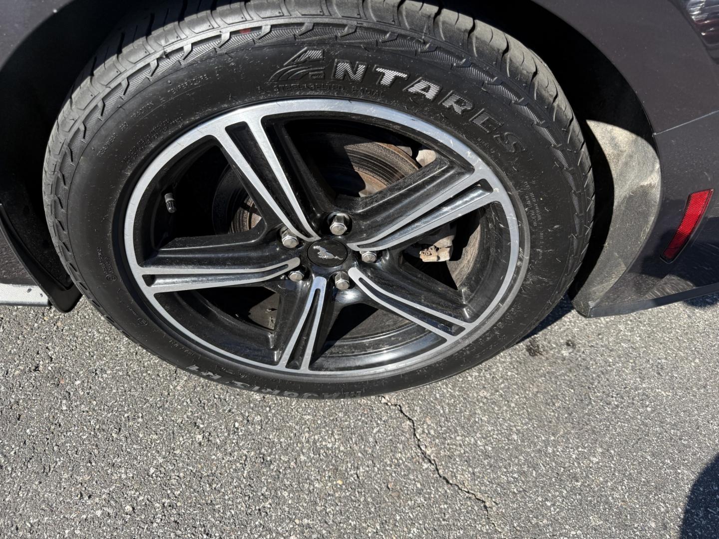 2024 Gray /Black Ford Mustang EcoBoost Premium Convertible (1FAGP8UH6R5) with an 2.3L I4 DOHC 16V Turbo 310 HP engine, Automatic transmission, located at 11115 Chardon Rd. , Chardon, OH, 44024, (440) 214-9705, 41.580246, -81.241943 - 2024 Ford Mustang Convertible Premium – Turbocharged Power, Open-Air Thrills, and Premium Luxury! This 2024 Ford Mustang Convertible Premium delivers the perfect mix of exhilarating performance and refined comfort in a stunning drop-top package. Powered by a responsive 2.3L I4 Turbocharged EcoBoo - Photo#29