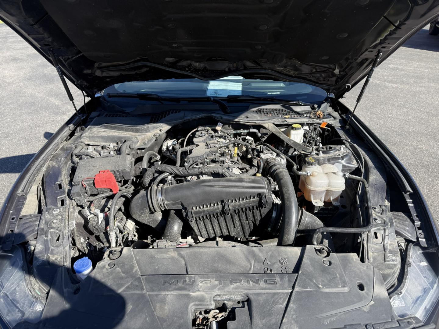 2024 Gray /Black Ford Mustang EcoBoost Premium Convertible (1FAGP8UH6R5) with an 2.3L I4 DOHC 16V Turbo 310 HP engine, Automatic transmission, located at 11115 Chardon Rd. , Chardon, OH, 44024, (440) 214-9705, 41.580246, -81.241943 - 2024 Ford Mustang Convertible Premium – Turbocharged Power, Open-Air Thrills, and Premium Luxury! This 2024 Ford Mustang Convertible Premium delivers the perfect mix of exhilarating performance and refined comfort in a stunning drop-top package. Powered by a responsive 2.3L I4 Turbocharged EcoBoo - Photo#6