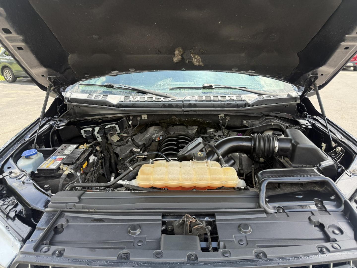 2018 Blue /Gray Ford F-150 XLT SuperCrew 5.5-ft. 4WD (1FTEW1E53JF) with an 5.0L V8 OHV 32V engine, Automatic transmission, located at 547 E. Main St., Orwell, OH, 44076, (440) 437-5893, 41.535435, -80.847855 - 2018 Ford F-150 XLT Crew Cab – Coyote V8 Power with Strong Towing and Extended-Range Fuel Tank! This clean 2018 Ford F-150 XLT Crew Cab is a capable and practical full-size truck that’s ready for work or weekend adventures. Powered by Ford’s legendary 5.0L Coyote V8 engine with flex fuel capa - Photo#6