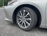 2021 Gray /Gray Lexus ES 250 Premium (58AD11D17MU) with an 2.5L I4 DOHC 16V engine, Automatic transmission, located at 11115 Chardon Rd. , Chardon, OH, 44024, (440) 214-9705, 41.580246, -81.241943- Photo#12