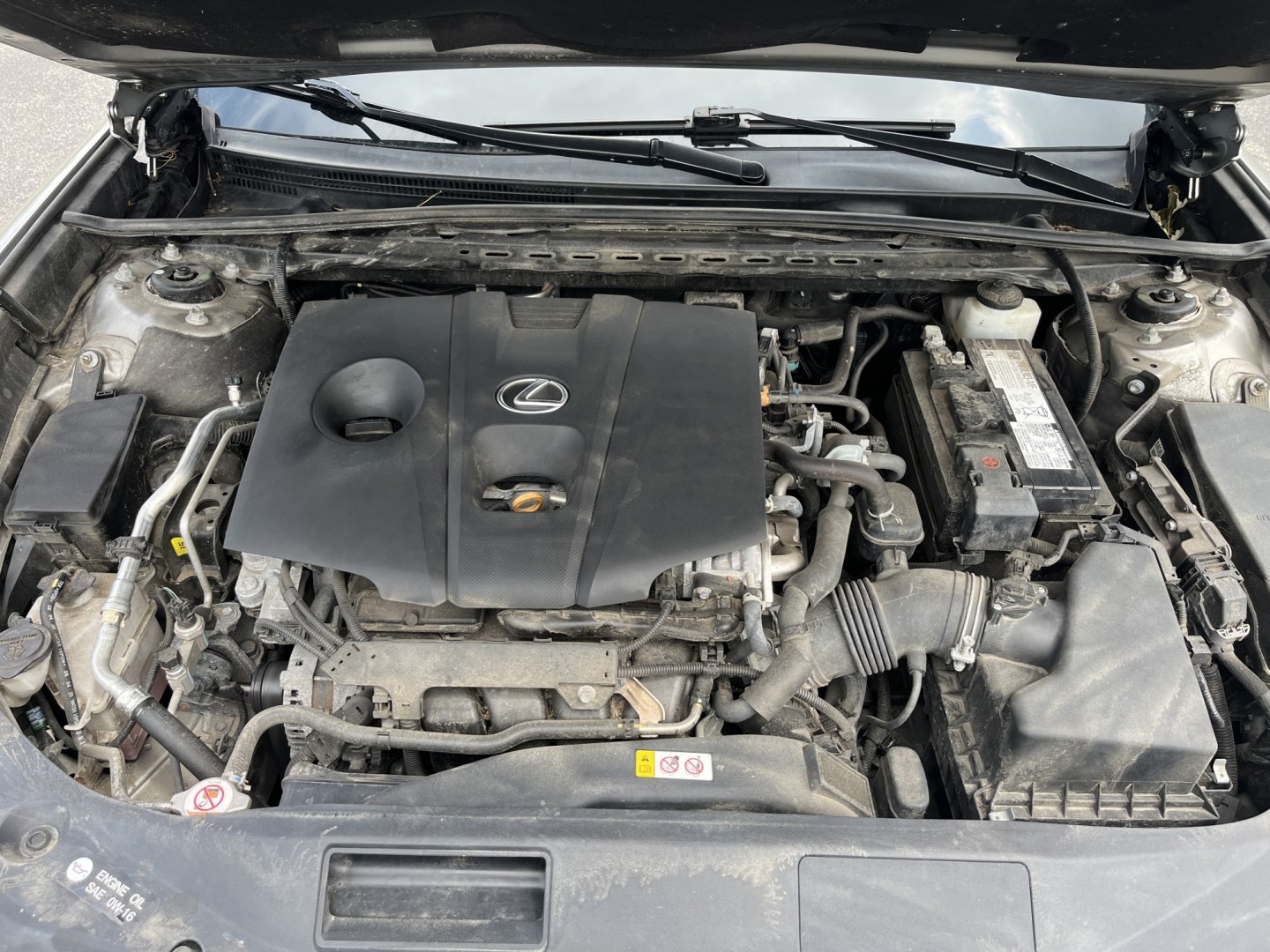 2021 Gray /Gray Lexus ES 250 Premium (58AD11D17MU) with an 2.5L I4 DOHC 16V engine, Automatic transmission, located at 11115 Chardon Rd. , Chardon, OH, 44024, (440) 214-9705, 41.580246, -81.241943- Photo#13