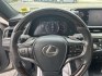 2021 Gray /Gray Lexus ES 250 Premium (58AD11D17MU) with an 2.5L I4 DOHC 16V engine, Automatic transmission, located at 11115 Chardon Rd. , Chardon, OH, 44024, (440) 214-9705, 41.580246, -81.241943- Photo#19