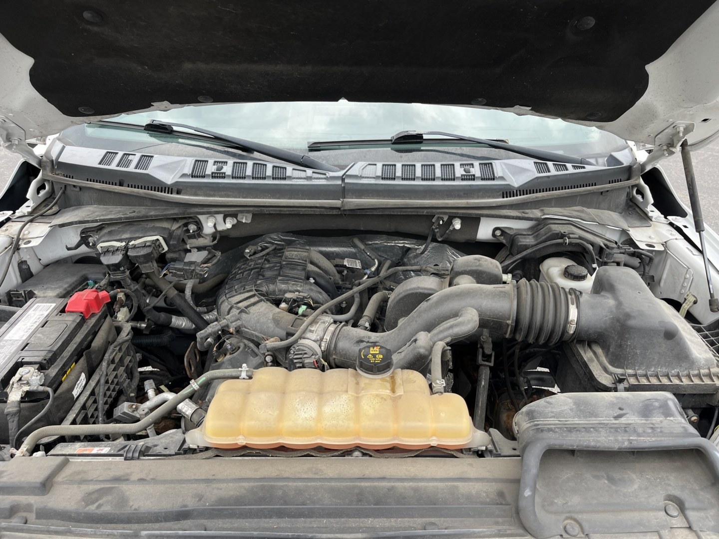 2017 White /Gray Ford F-150 XLT SuperCrew 5.5-ft. Bed 4WD (1FTEW1E80HF) with an 3.5L DOHC V6 engine, Automatic transmission, located at 11115 Chardon Rd. , Chardon, OH, 44024, (440) 214-9705, 41.580246, -81.241943 - 2017 Ford F-150 XLT Crew Cab 4WD – Reliable V6 Power with Towing Capability and Extended Range! This 2017 Ford F-150 XLT Crew Cab 4WD is a solid, well-equipped full-size truck that offers dependable performance and practical features. Powered by a capable 3.5L V6 engine with flex fuel capability- Photo#13