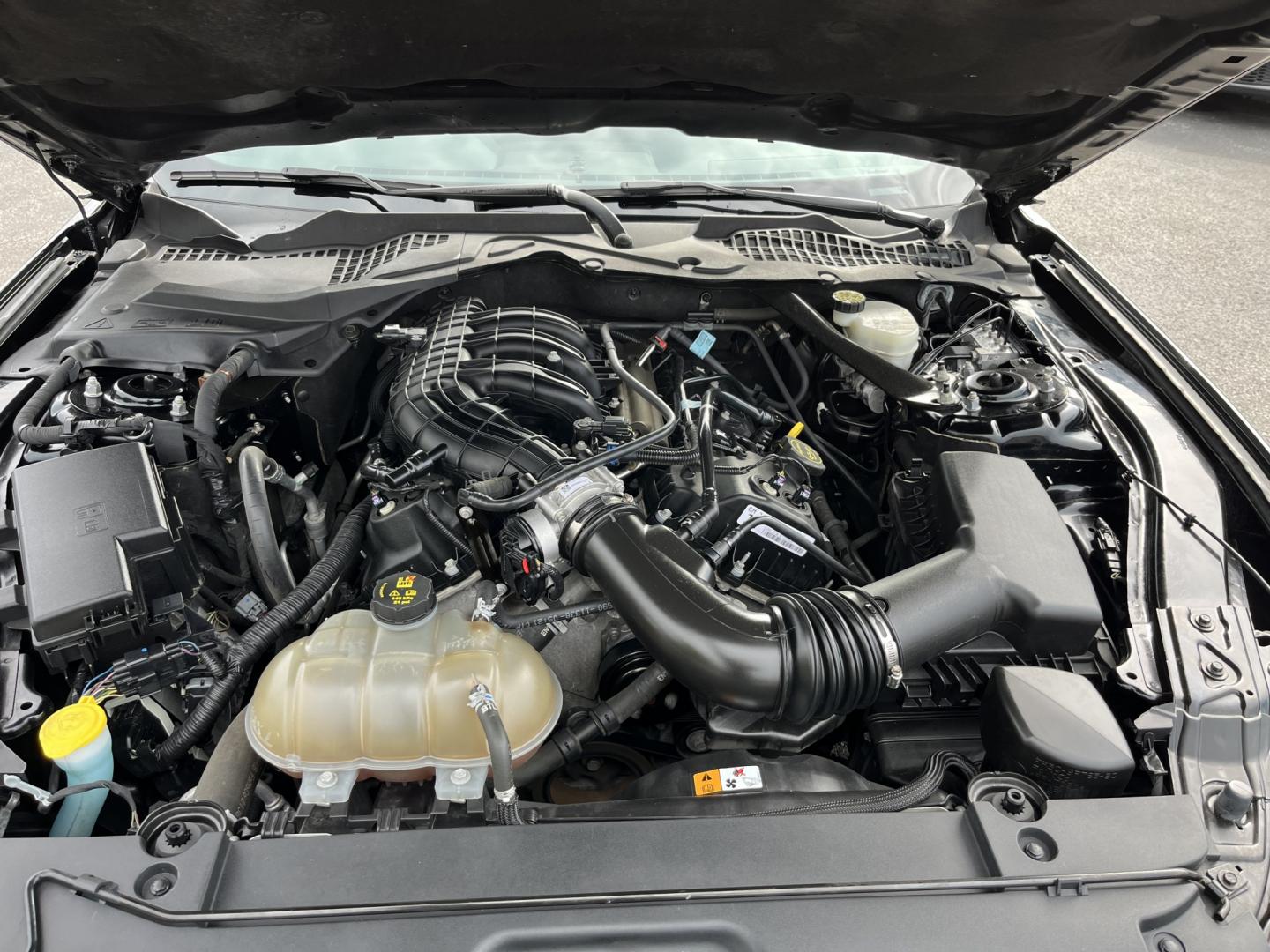 2017 Black /Black Ford Mustang V6 Convertible (1FATP8EM9H5) with an 3.7L V6 DOHC 24V engine, Automatic transmission, located at 11115 Chardon Rd. , Chardon, OH, 44024, (440) 214-9705, 41.580246, -81.241943 - 2017 Ford Mustang Convertible – Open-Air Mustang Feel with V6 Confidence Some cars get you there. A Mustang Convertible makes you want to take the long way. This 2017 Ford Mustang Convertible in Shadow Black has that classic look, with a power soft top you can drop when the weather is right. The- Photo#15